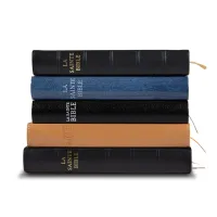 Bible Darby édition de Rolle, format moyen, cuir noir sans rebord, souple, tranche dorée