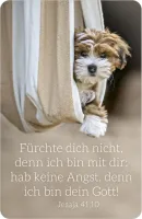Kalender Kärtchen - Hund - Jesaja 41.10 (Jahreskalender)