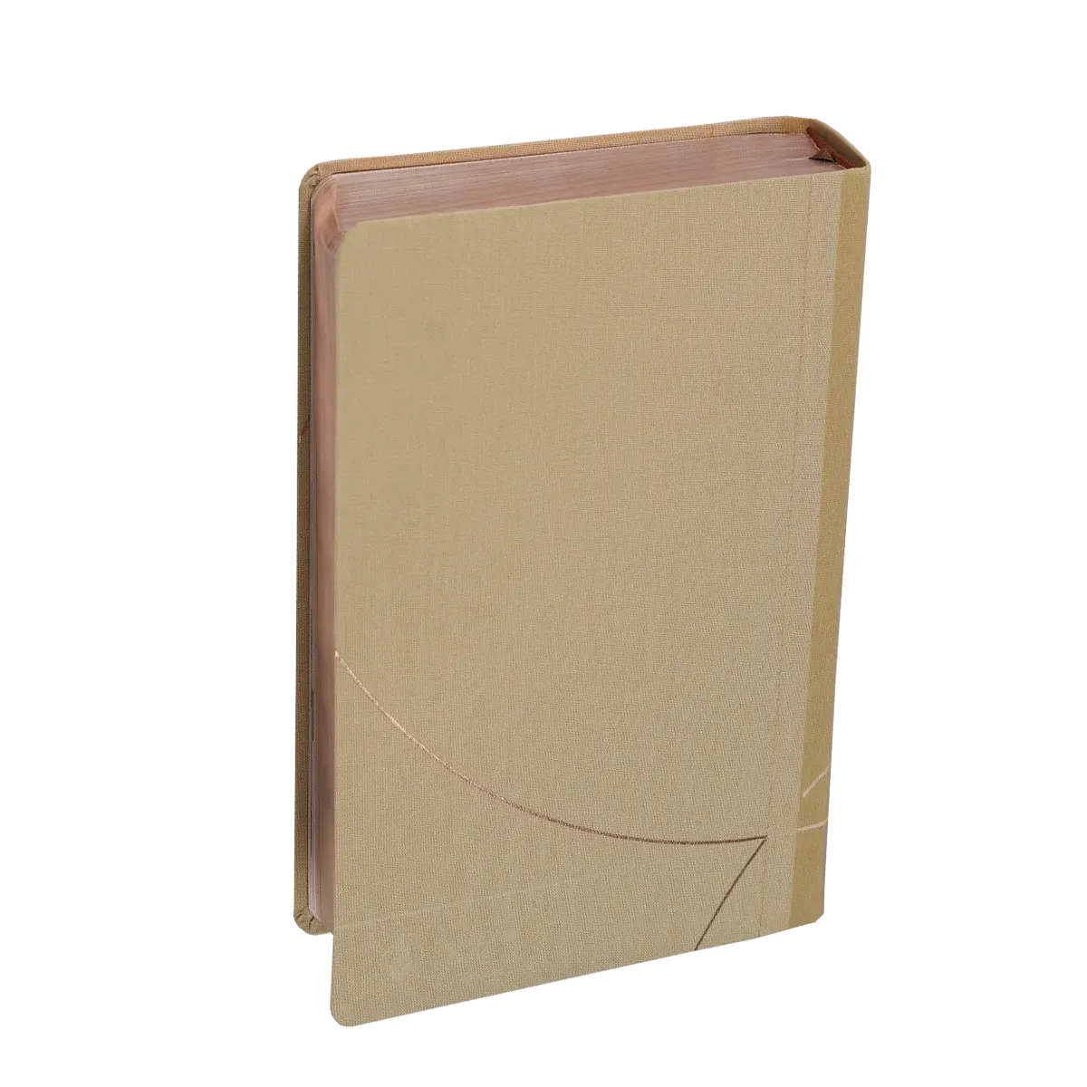 Bible d'étude Vie nouvelle, Segond 21 - Couverture souple, toile beige, tranches or rose