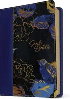 Espagnol, Bible, Nueva Traduccion Viviente, moyen format, grandes lettres, Filament Edition,...