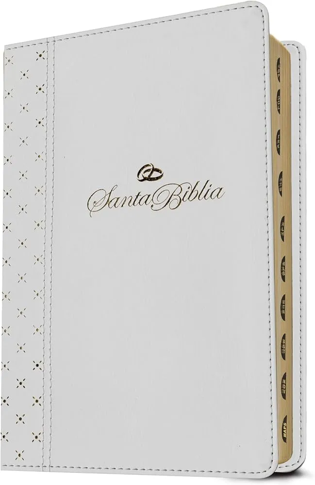 Espagnol, Bible, Nueva Traduccion Viviente, moyen format, grandes lettres, Filament Edition,...