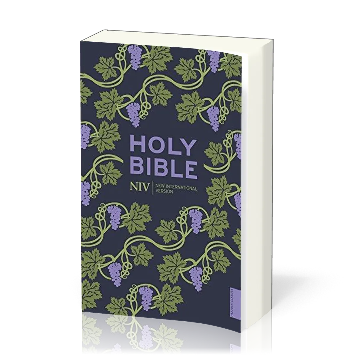 Englisch, Bibel New International Version, broschiert, illustrierter Einband Rebe