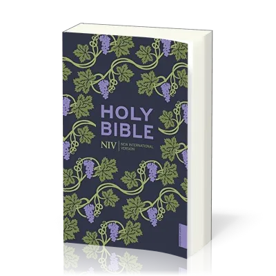 Englisch, Bibel New International Version, broschiert, illustrierter Einband Rebe