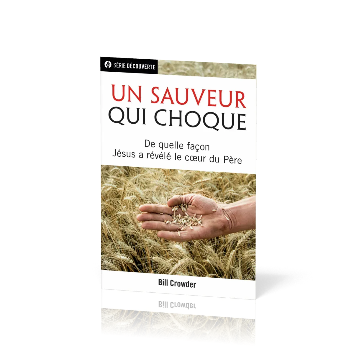 Un Sauveur qui choque - De quelle façon Jésus a révélé le cœur du Père [brochure NPQ série...