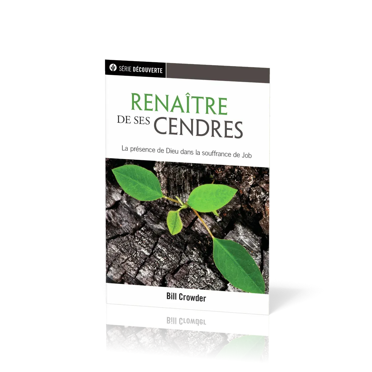 Renaître de ses cendres - La présence de Dieu dans la souffance de Job [brochure NPQ série...