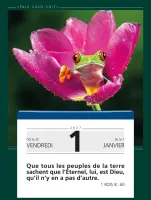 Paix vous soit [mural] calendrier éphéméride à effeuiller