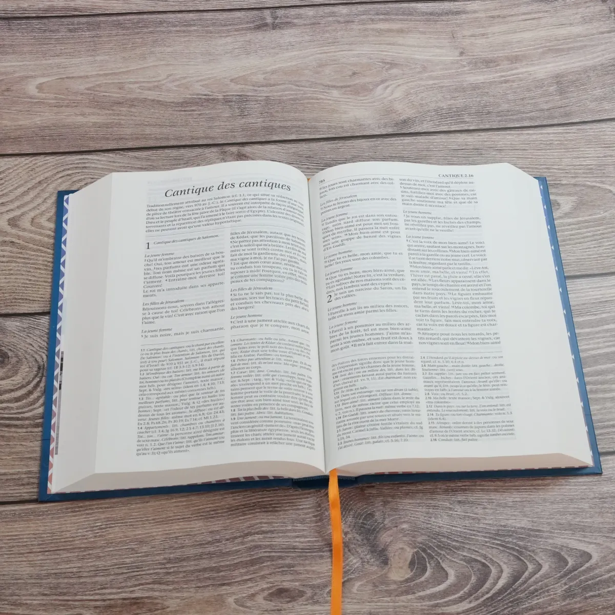 Bible avec notes de référence, Segond 21 - couverture rigide