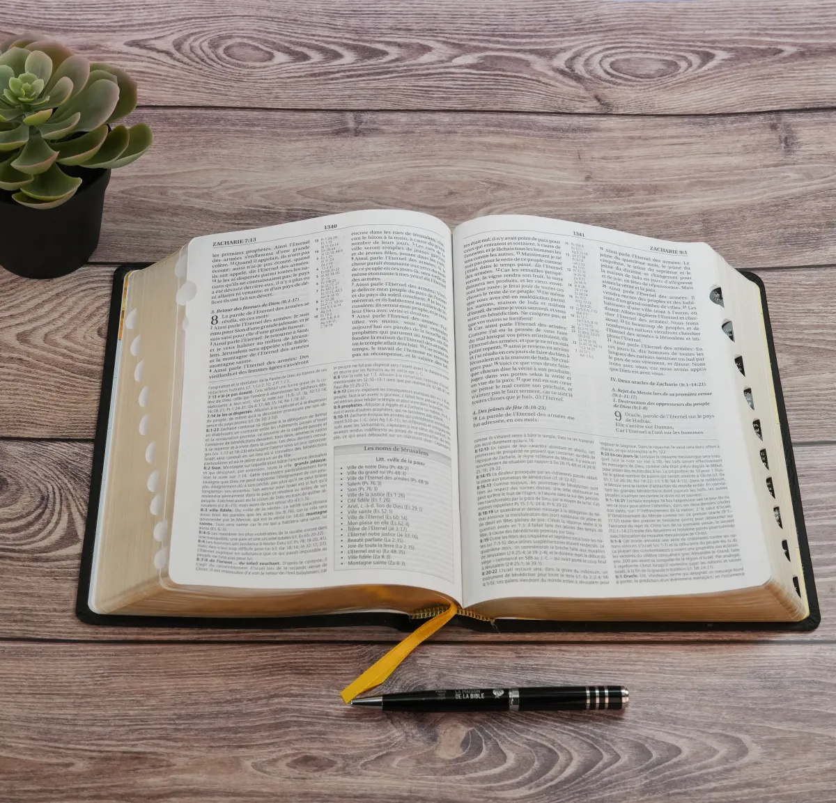 BIBEL NEG MACARTHUR, BIEGSAMES LEDER, GOLDSCHNITT, GRIFFREGISTER, SCHWARZ (MIT SCHACHTEL)