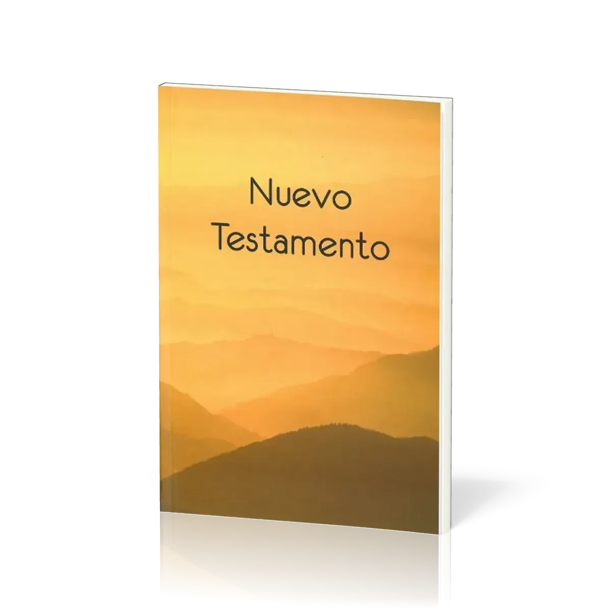 Espagol, Nouveau Testament, Reina Valera 1960, broché