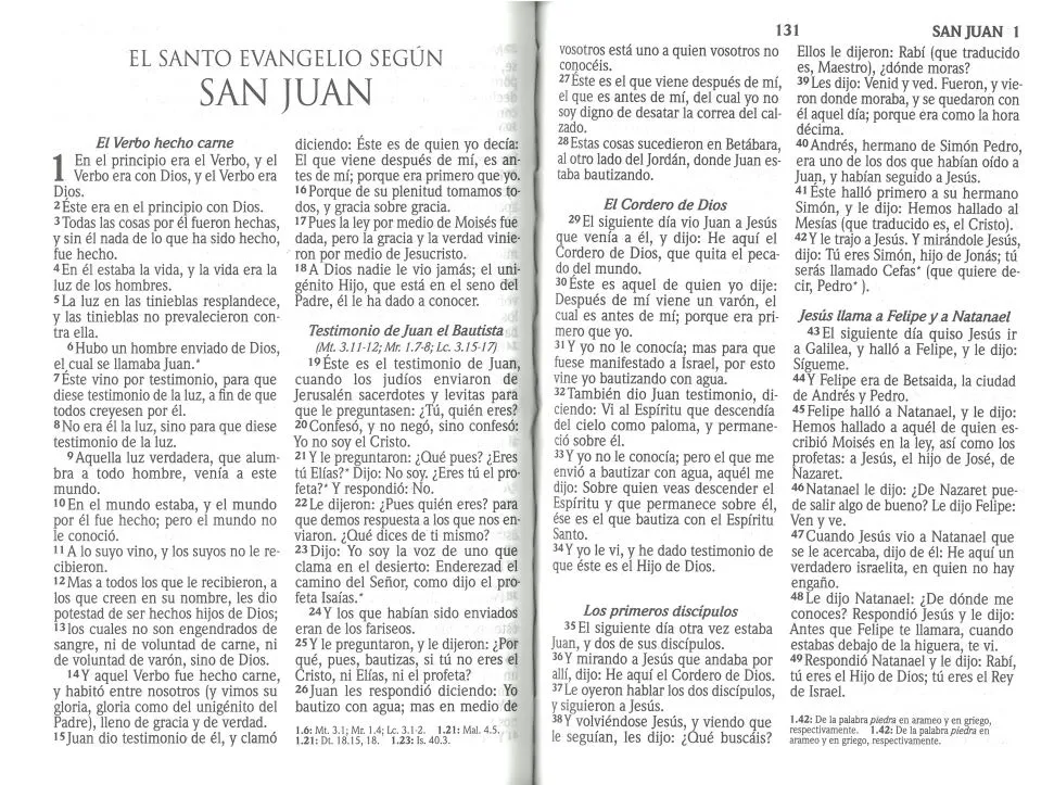 Espagol, Nouveau Testament, Reina Valera 1960, broché
