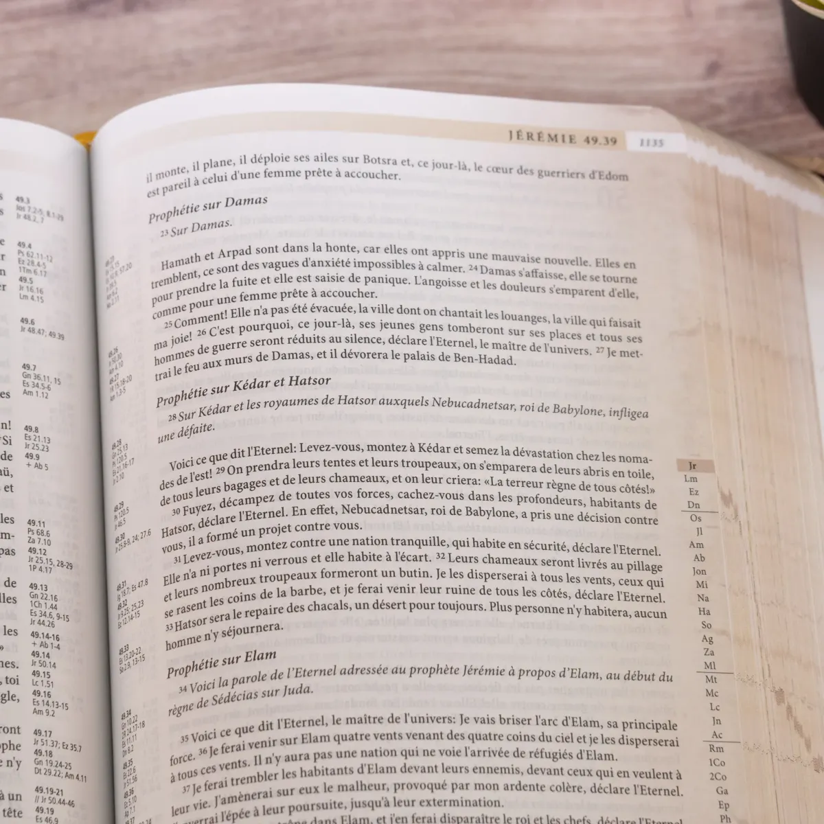 Segond 21 "Archäo"-Bibel, französisch, mit archäologischen und historischen Studiennotizen -...