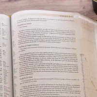 Segond 21 "Archäo"-Bibel, französisch, mit archäologischen und historischen Studiennotizen -...