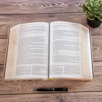 Segond 21 "Archäo"-Bibel, französisch, mit archäologischen und historischen Studiennotizen -...