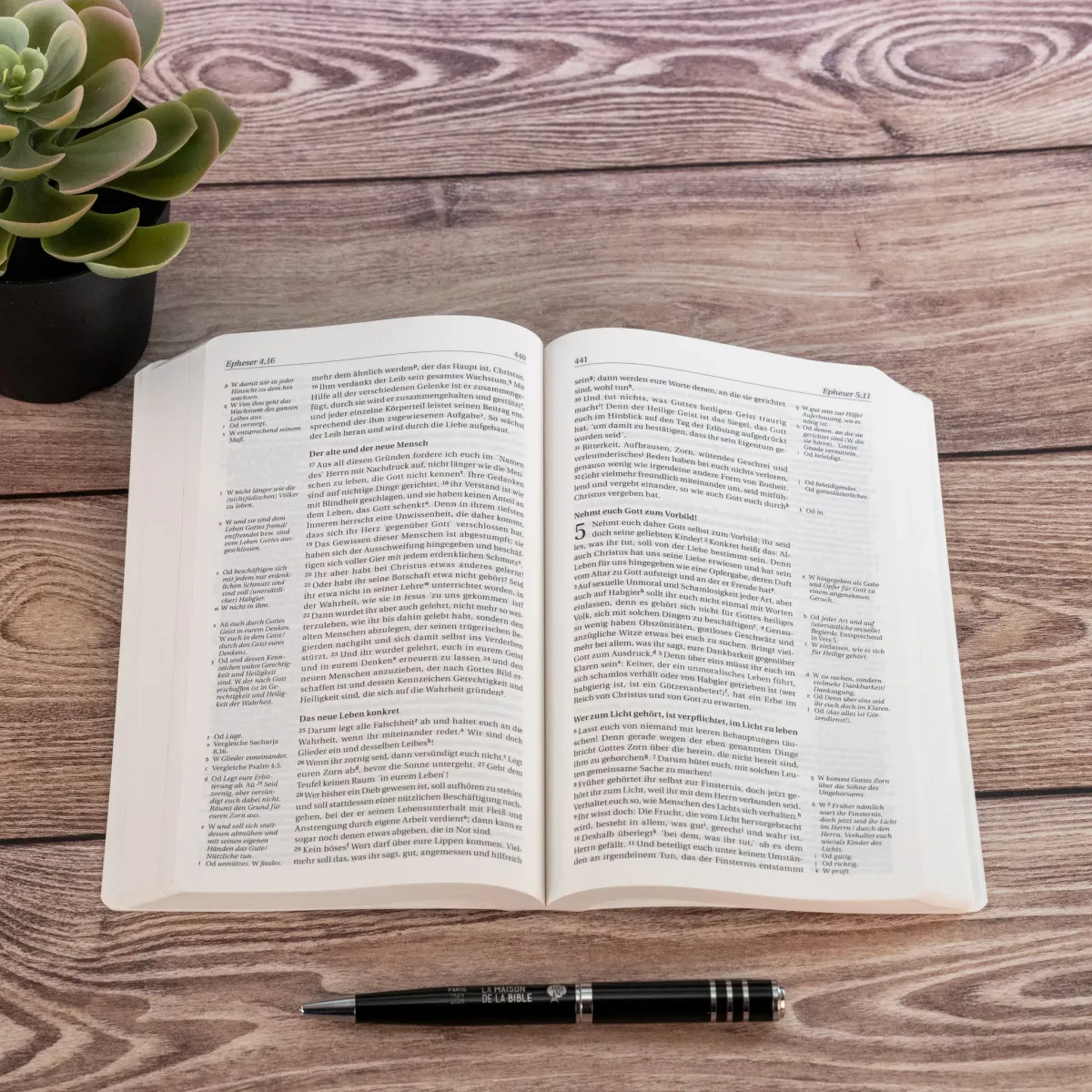 NGÜ Neues Testament mit Psalmen und Sprüche - Broschiert Design-Edition