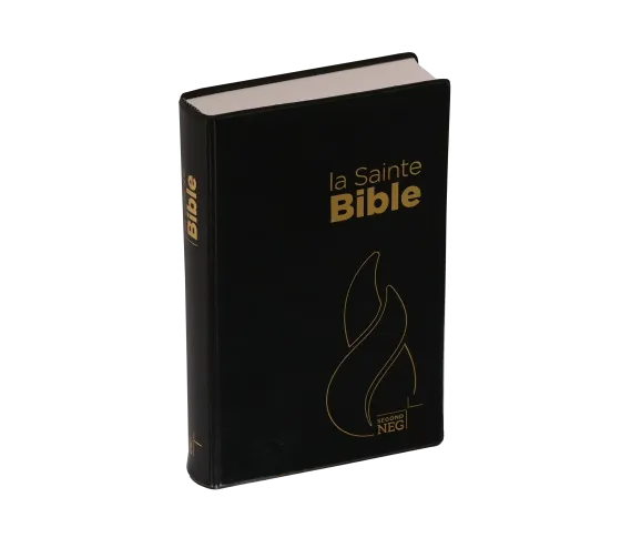 BIBEL NEG, KOMPAKT, PLASTIK, SCHWARZ