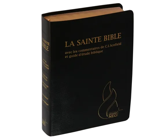 Bible d'étude Segond NEG Scofield, noire - couverture souple, fibrocuir, tranche or, avec onglets