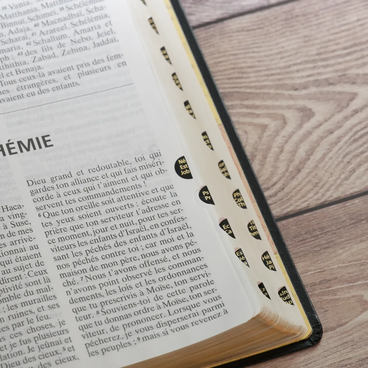 BIBEL NEG, SCOFIELD, FIBROLEDER SCHWARZ, GRIFFREGISTER, GOLDSCHN.
