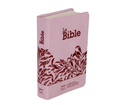 Bible Segond 21 compacte (Premium Style) - couverture souple, toile rose avec paillettes et onglets