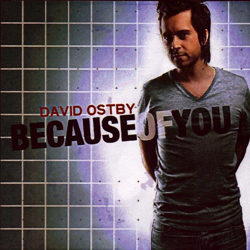 BECAUSE OF YOU CD - DAVID OSTBY