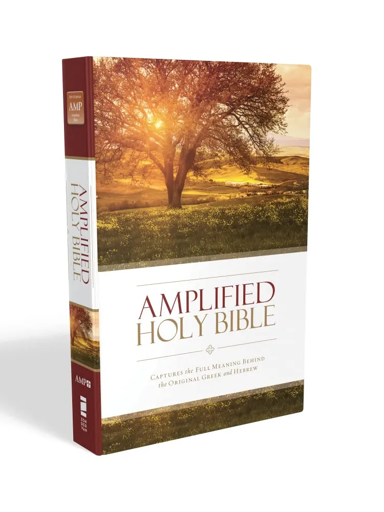 Anglais, Bible Amplified, grand format, reliée cartonnée, couverture illustrée