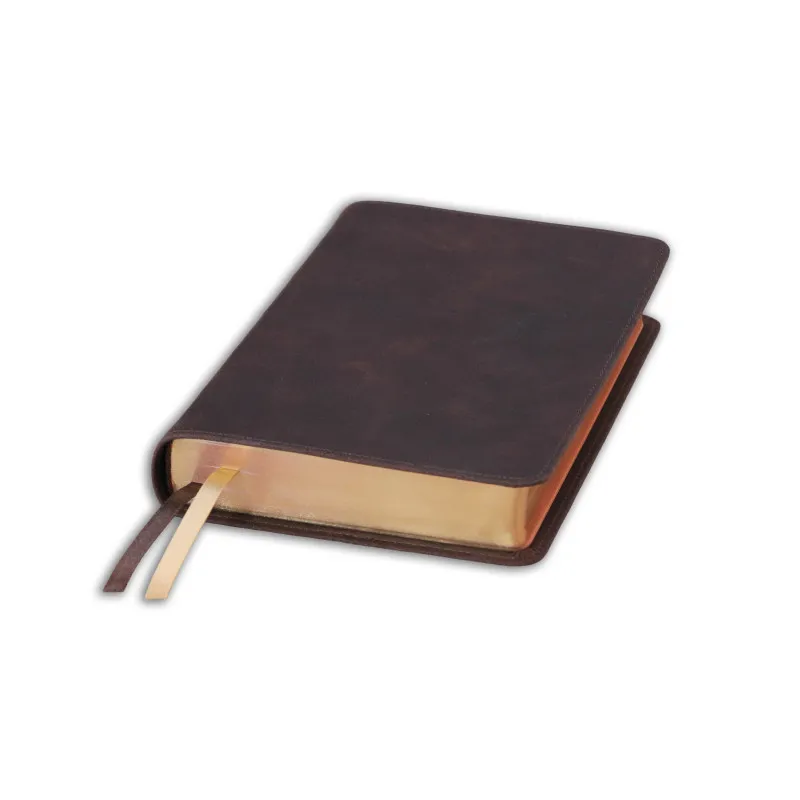 Bible Darby édition de Rolle, format moyen, cuir brun, souple, tranche or