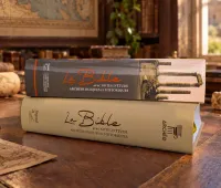 Bible Segond 21 «archéo», avec notes d'étude archéologiques et historiques - modèle souple, toile...
