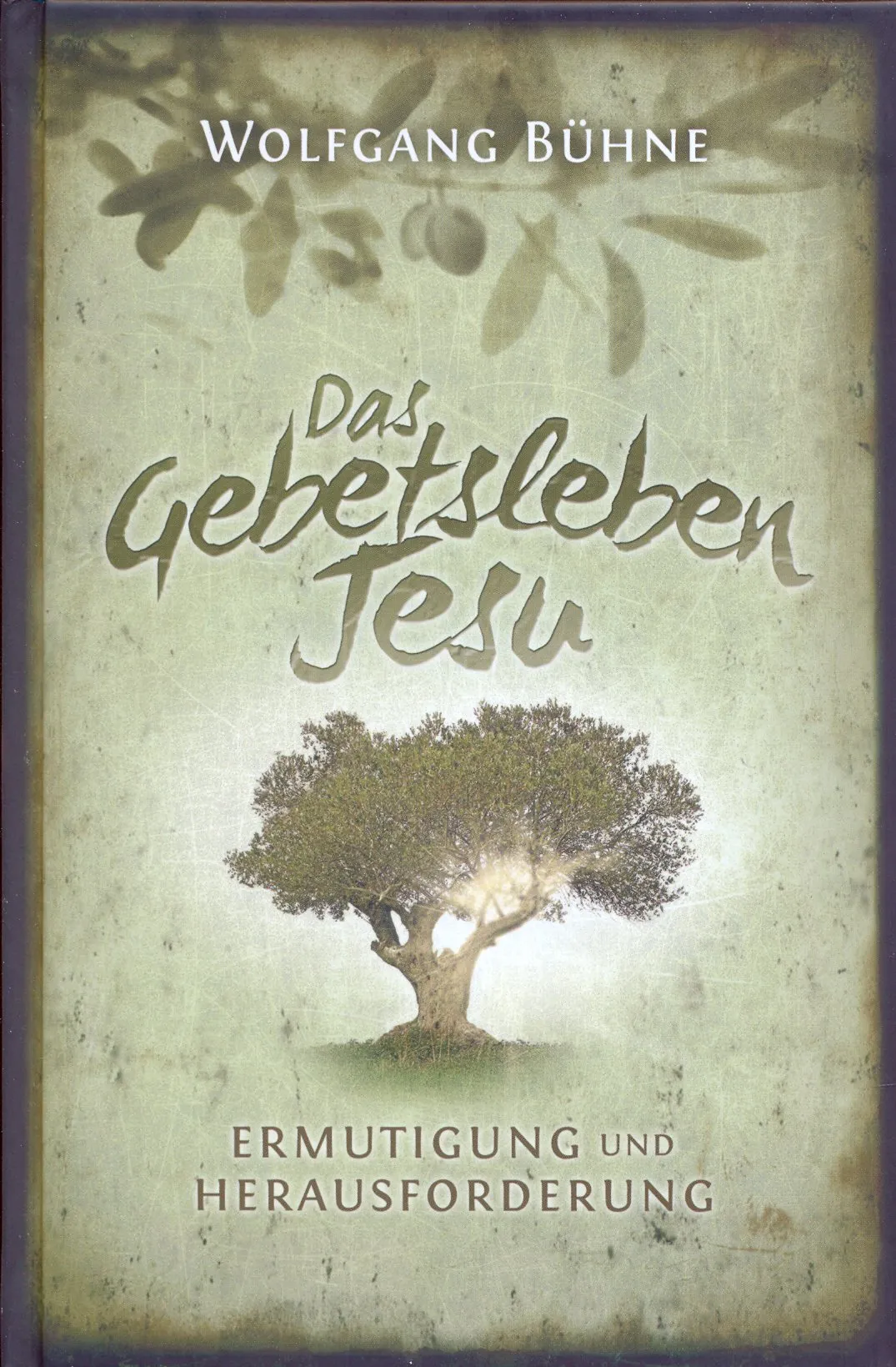 DAS GEBETSLEBEN JESU - ERMUTIGUNG UND HERAUSFORDERUNG - ePub