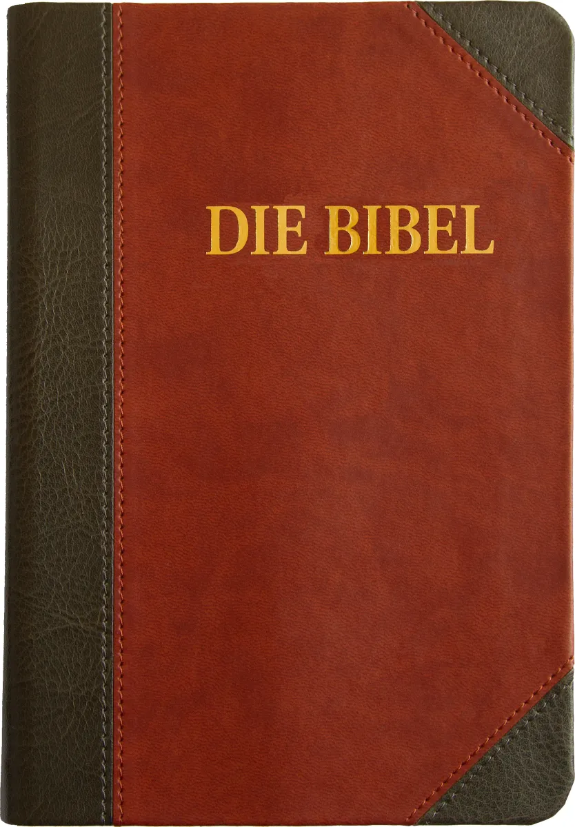 ALLEMAND, BIBLE SCHLACHTER 2000 "CLASSIQUE" - ePub