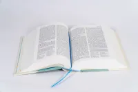 Neues Leben - Die Bibel für Kids