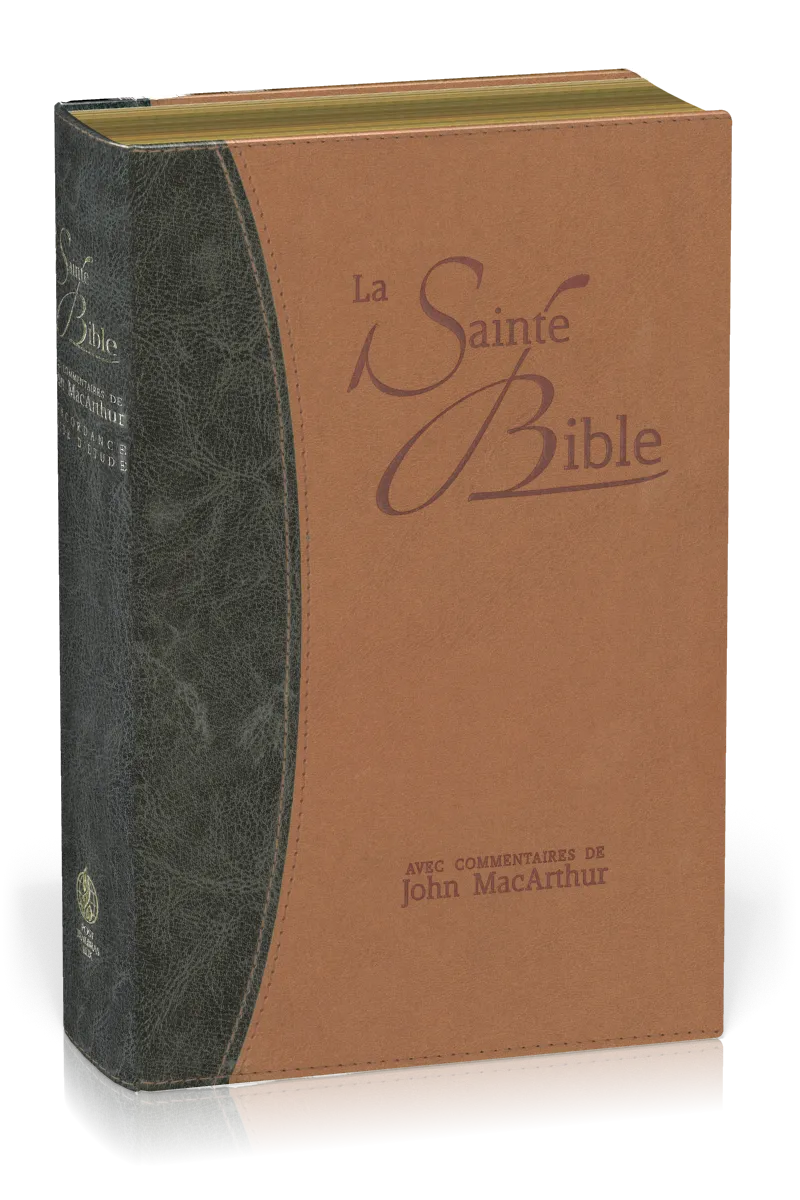 Bible d'étude Segond NEG MacArthur, duo bleu et marron - couverture souple, vivella, tranche or 