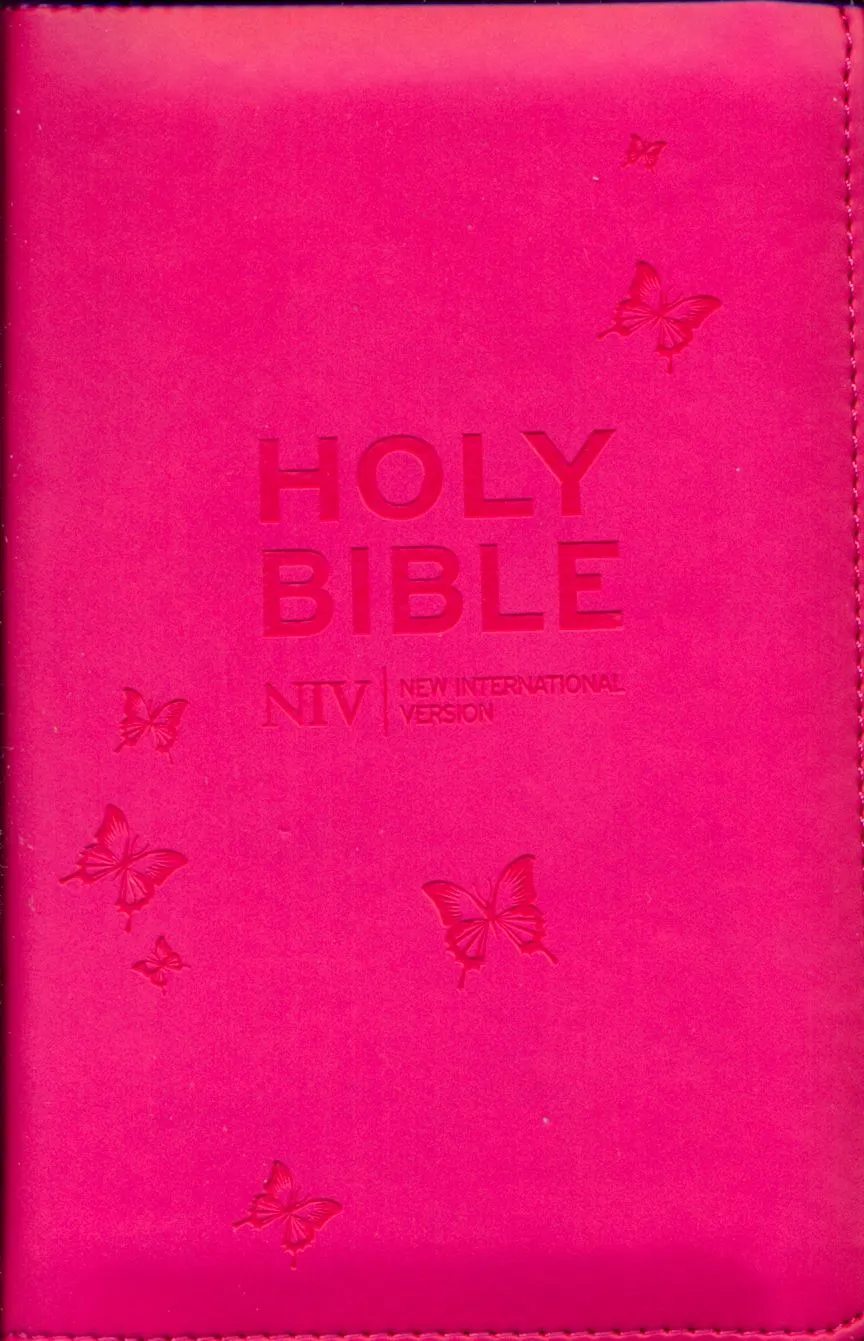 Englisch, Bibel New International Version, Taschenbuch, rosa, Reissverschluss, Silberschnitt