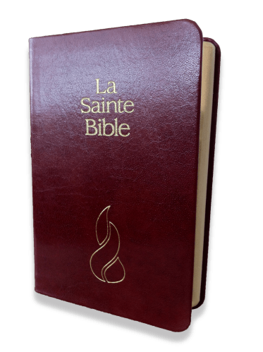 BIBEL NEG, MINIATUR, FIBROLEDER, GOLDSCHNITT, ROT