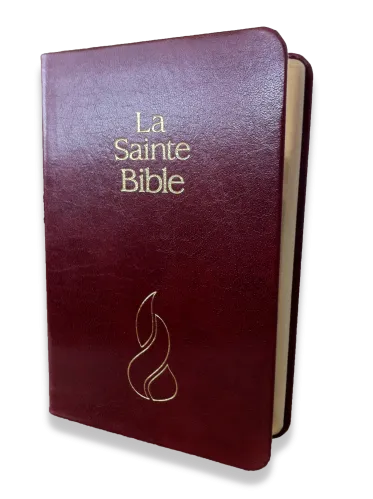 BIBEL NEG, MINIATUR, FIBROLEDER, GOLDSCHNITT, ROT