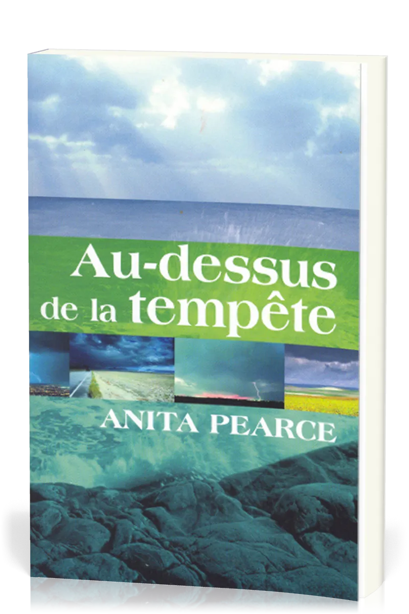 Au-dessus de la tempête