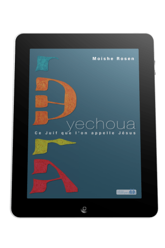 Yechoua - Ce juif que l'on appelle Jésus - ebook