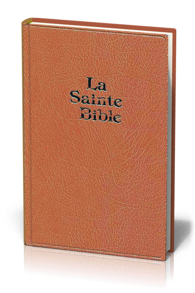 Bible Darby, grand format, brun clair - couverture rigide, skyvertex