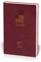 Bibel Schachter 2000, Taschenausgabe mit Parallelstellen, Goldschnitt, weinrot