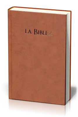 BIBEL SEGOND 21 GEBUNDEN BRAUN