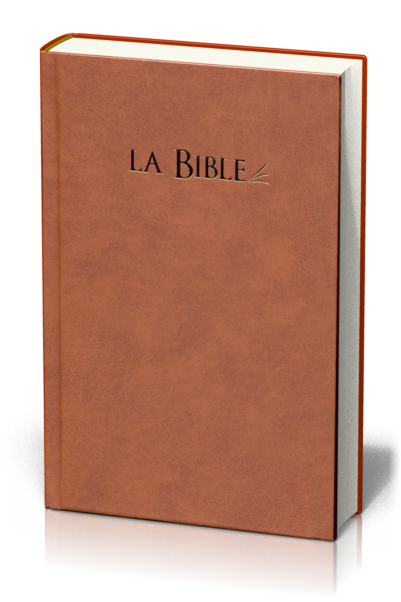 Bible segond 21 compacte, brune - couverture rigide