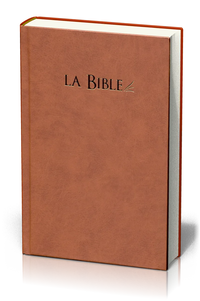 Bible segond 21 compacte, brune - couverture rigide