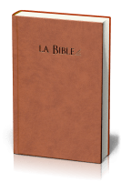 Bible segond 21 compacte, brune - couverture rigide