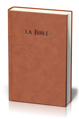 Bible segond 21 compacte, brune - couverture rigide