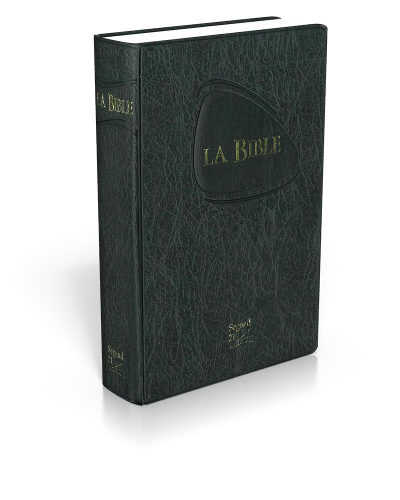 Bible Segond 21 de poche, noire - couverture souple, flexa