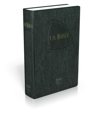 Bible Segond 21 de poche, noire - couverture souple, flexa