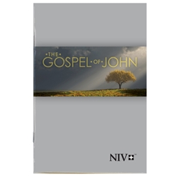 GOSPEL OF JOHN - NIV - NEW INTERNATIONAL VERSION