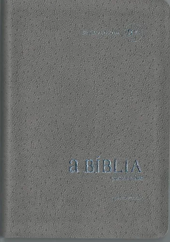 Portugiesisch, Bible Bíblia Para Todos, grau, biegsam, Silberschnitt