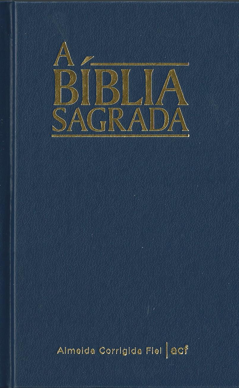 PORTUGIESISCH, BIBEL GEBUNDEN BLAU BRASILIEN, ALMEIDA CORRIGIDA FIEL