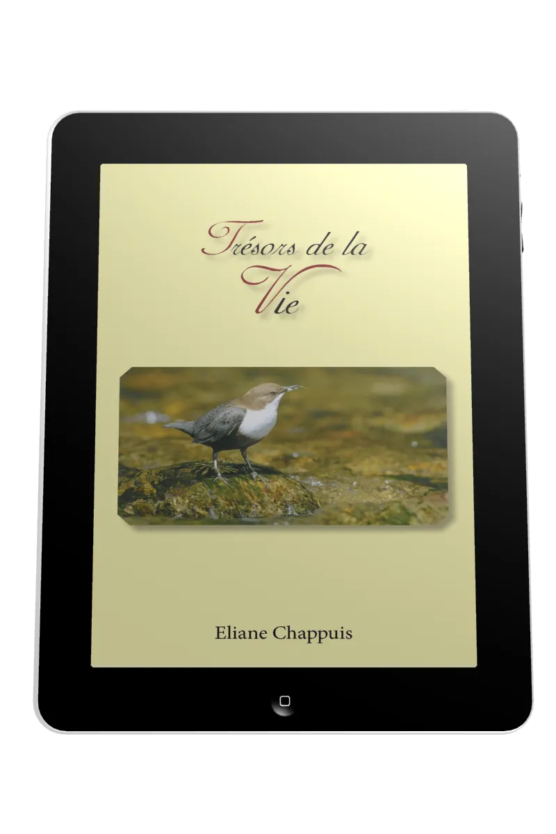 Trésors de la vie - Ebook