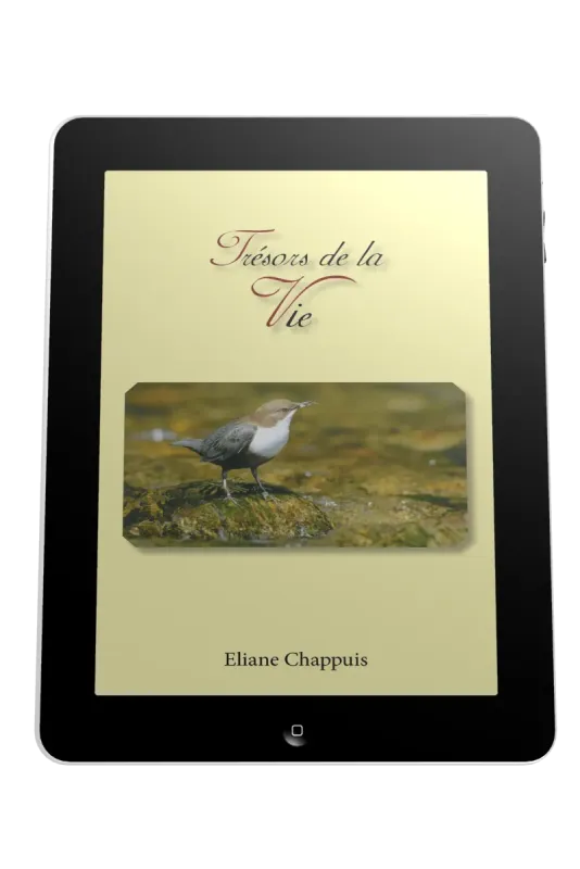 Trésors de la vie - Ebook