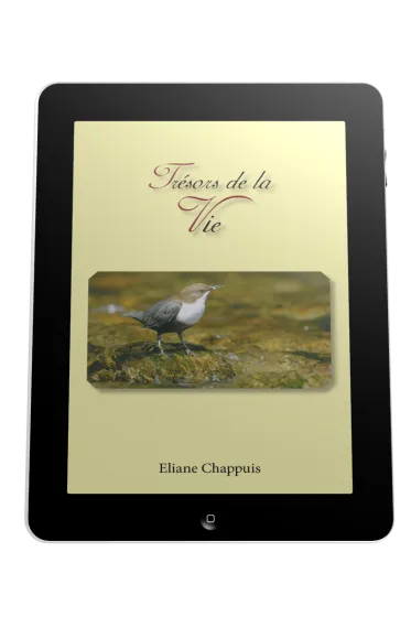 Trésors de la vie - ePub